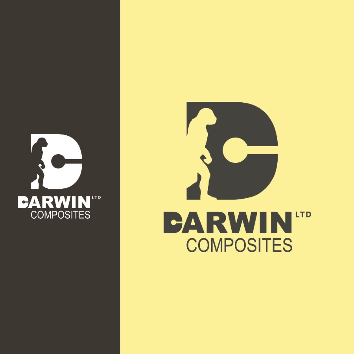Darwin Composites Brand Identity